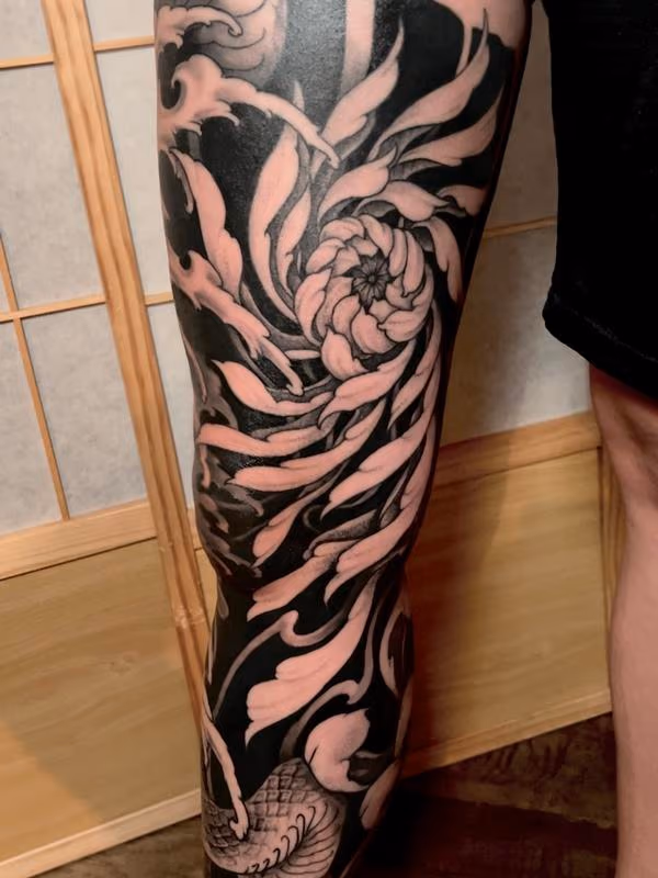 Chrysanthemum