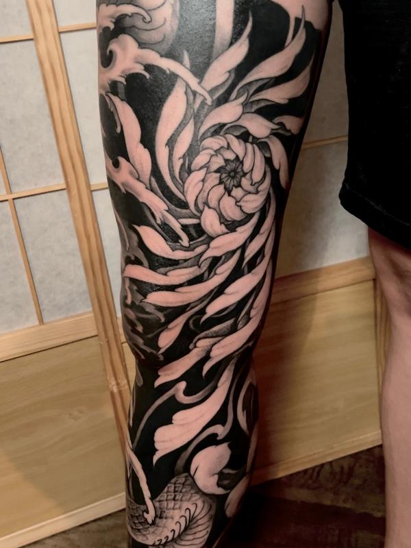 Chrysanthemum