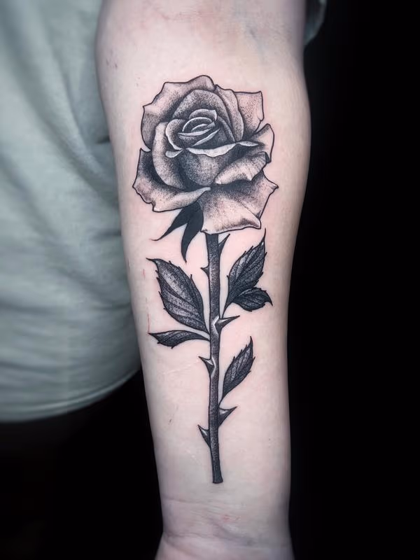 Black Rose