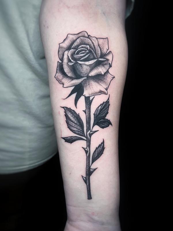 Black Rose