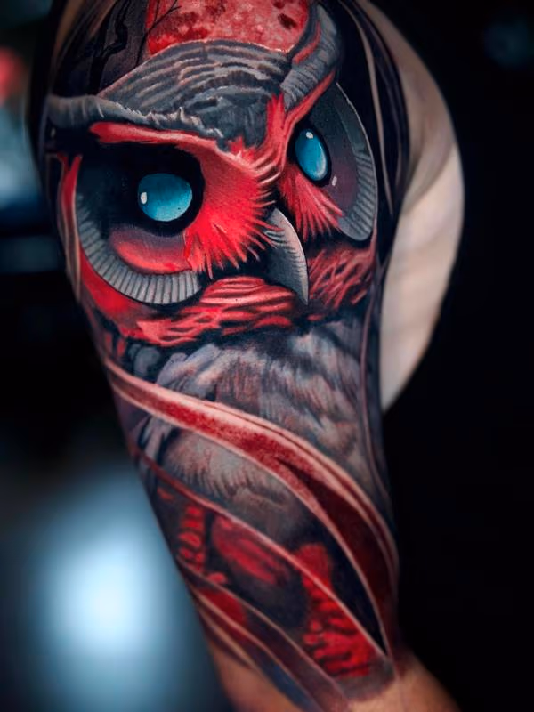Owl