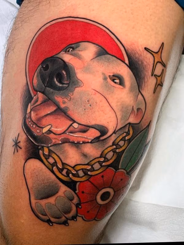 Dog portrait