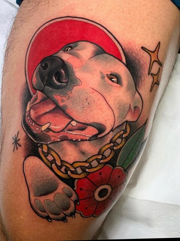 Dog portrait