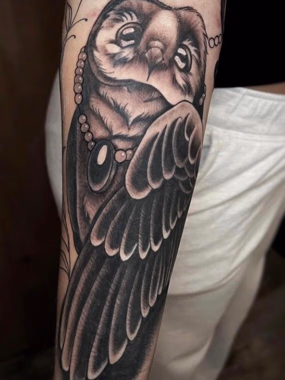 Owl