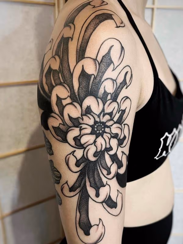 Chrysanthemum