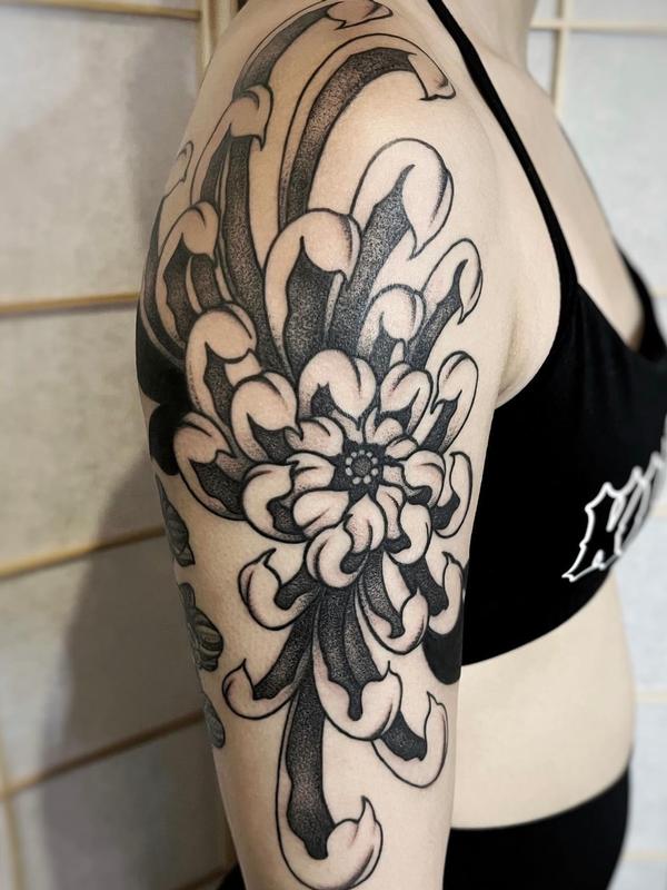 Chrysanthemum