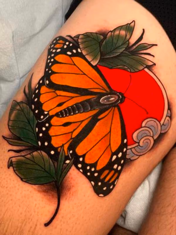 Polilla