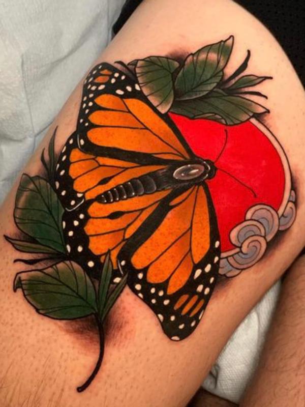 Polilla