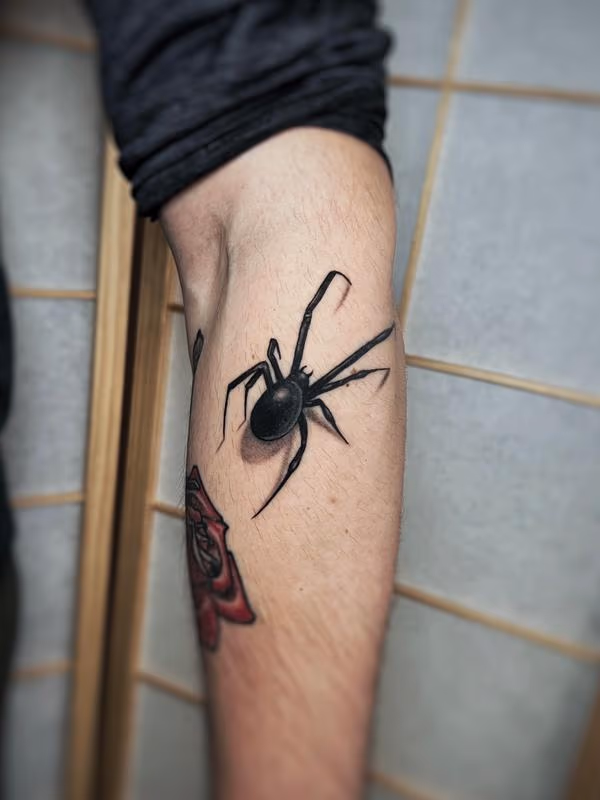 Arachnid