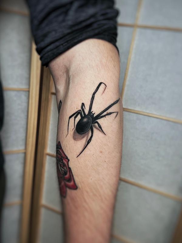 Arachnid