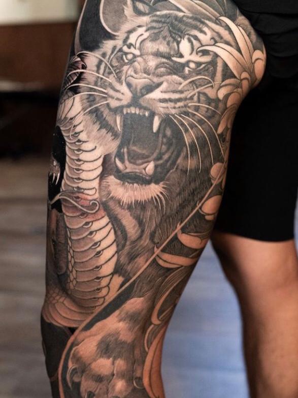 Feline
