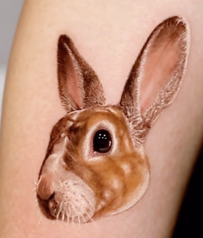 Rabbit Love