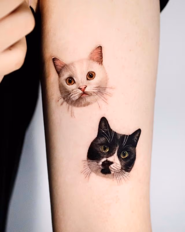 Realistic Cat Portraits Tattoo