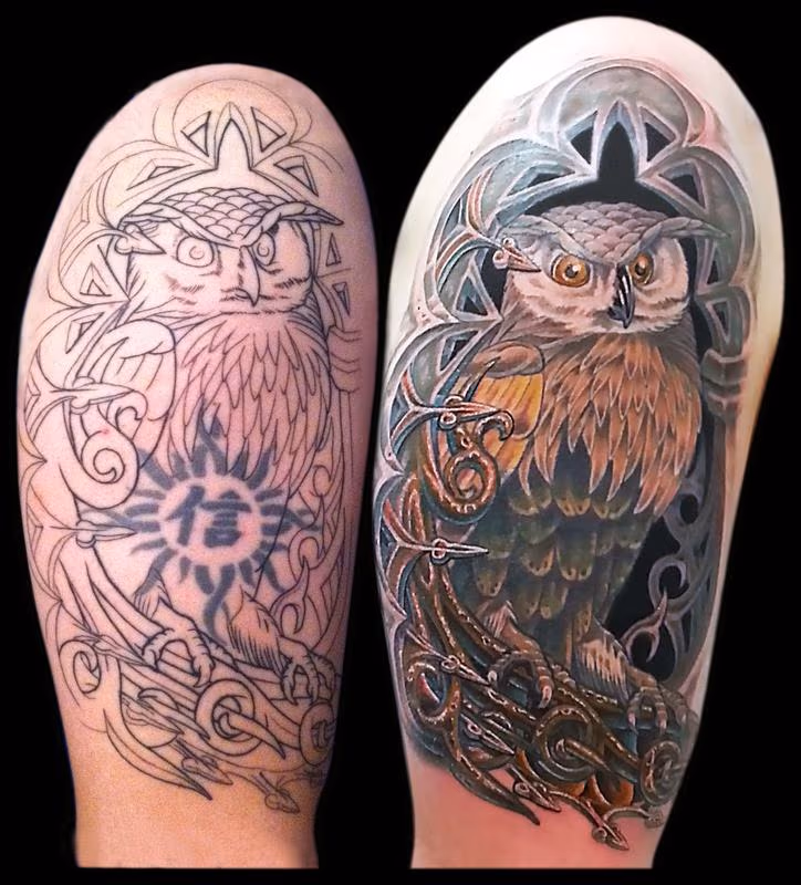 Owl in an Alcove Cover Up