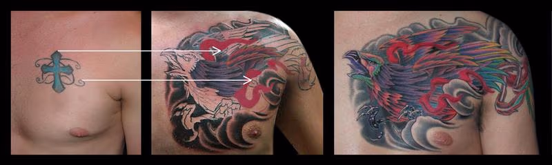 Phoenix Cover up