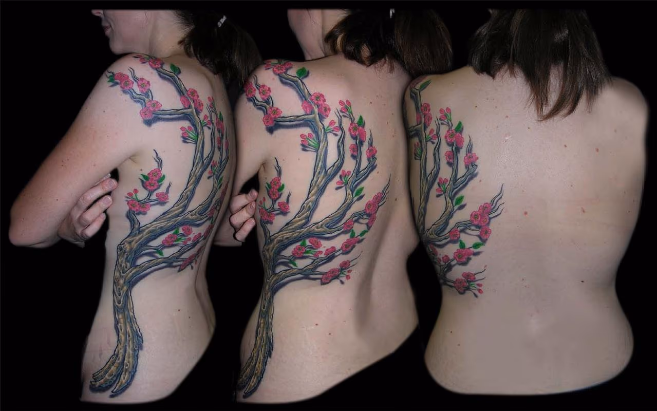 Cherry Blossom Branch