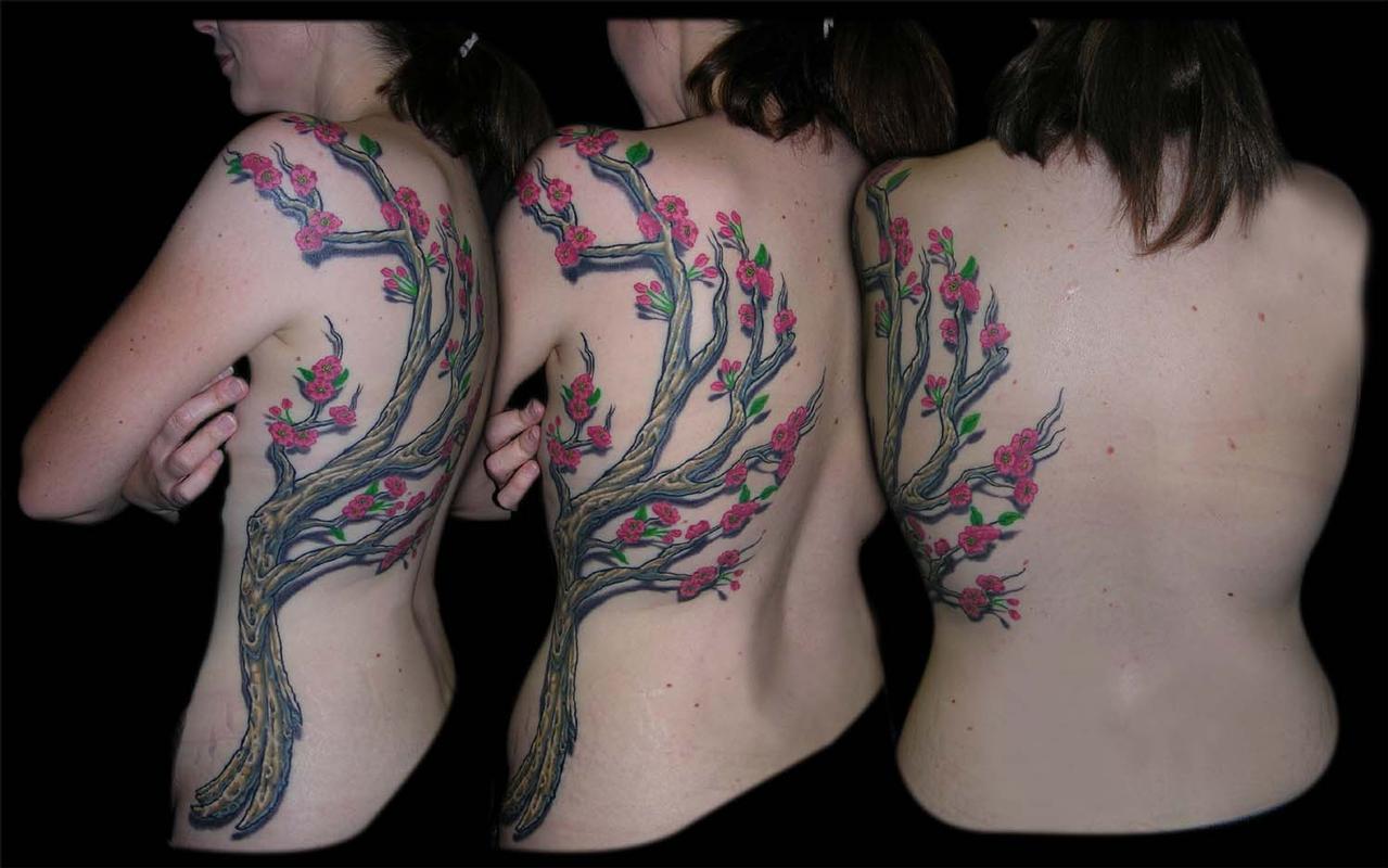 Cherry Blossom Branch
