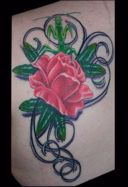rose and mantis