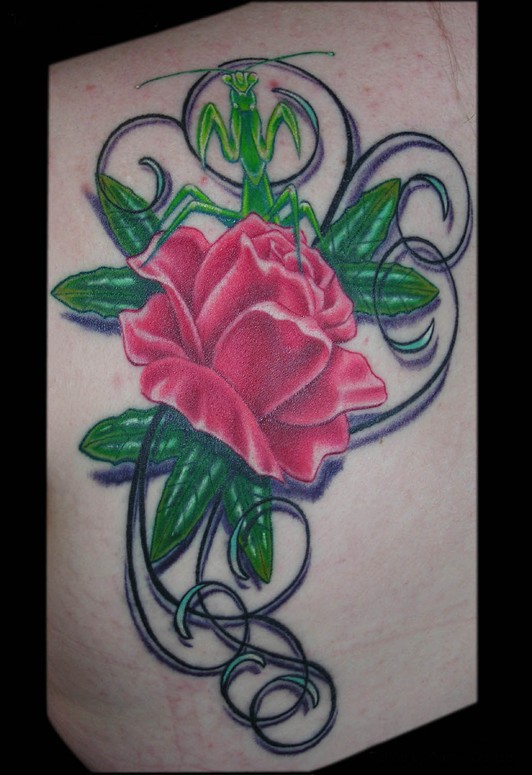 rose and mantis