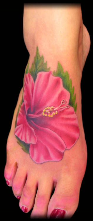 Hibiscus