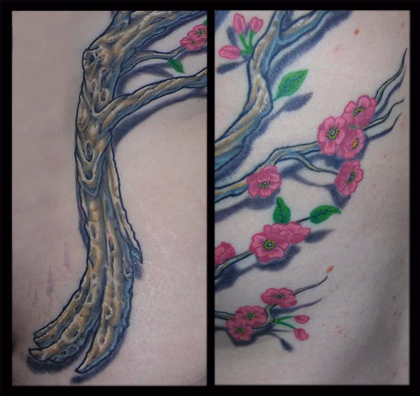 Cherry Blossom Branch Detail