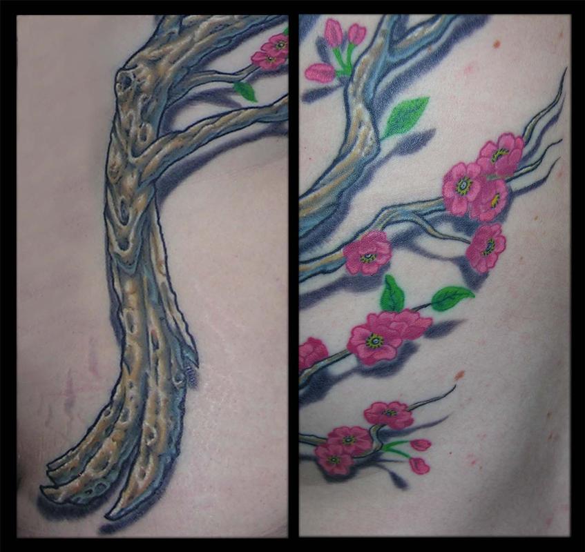 Cherry Blossom Branch Detail