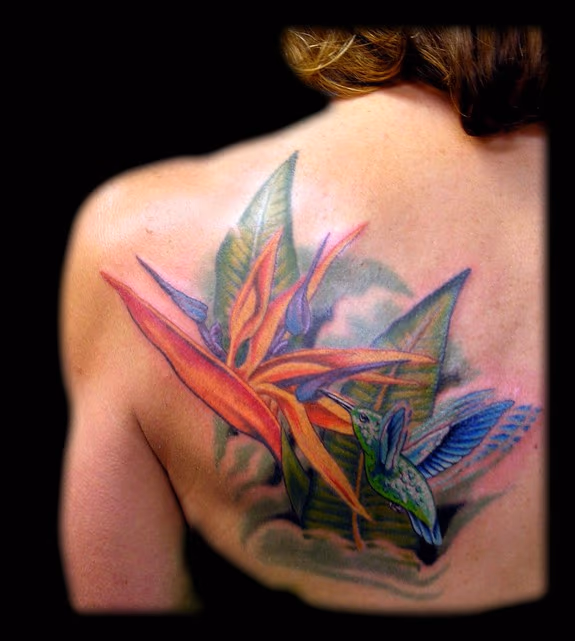 Hummingbird and Bird of Paradise Flower