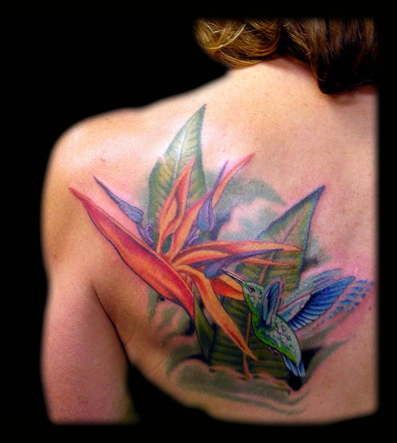 Hummingbird and Bird of Paradise Flower