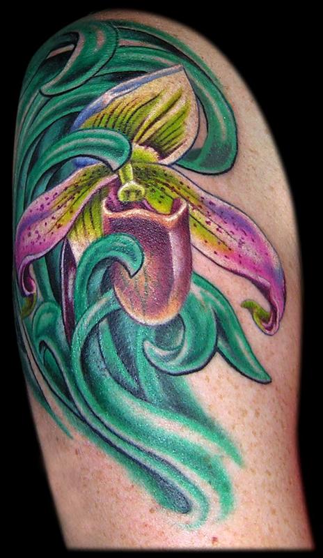 Lady's Slipper Orchids