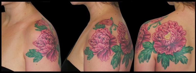 Pink Peonies