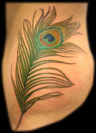 Peacock Feather
