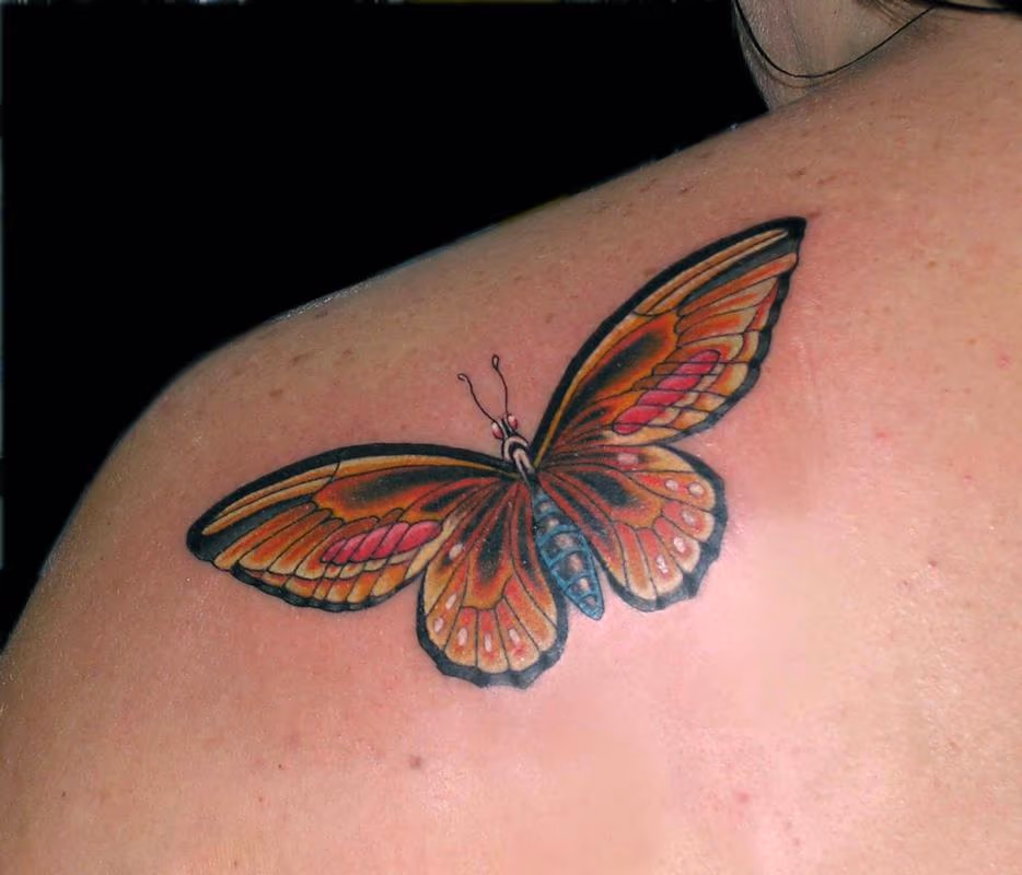 Orange Butterfly