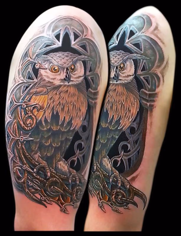 Owl in an Alcove Cover Up