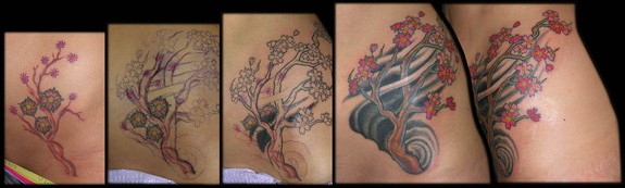 Cherry Blossom Tree Coverup