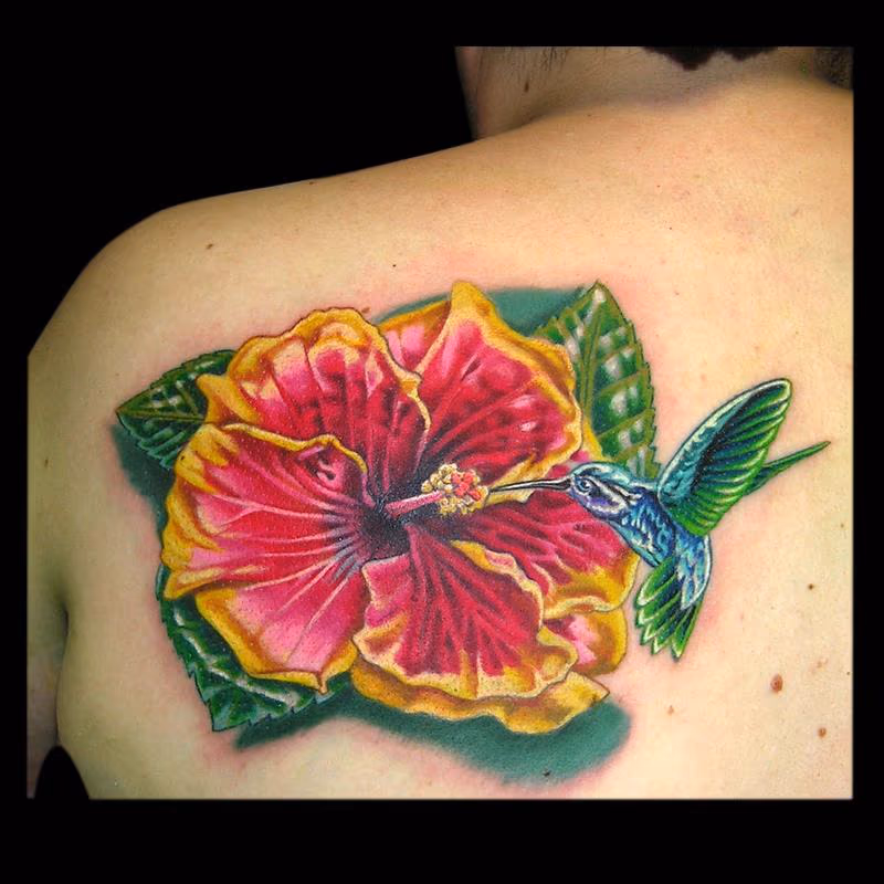 Hibiscus and Hummingbird