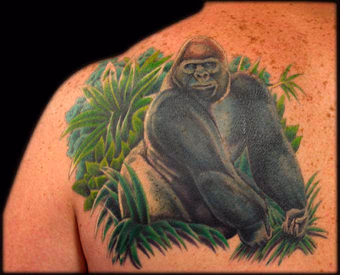 Silverback Gorilla