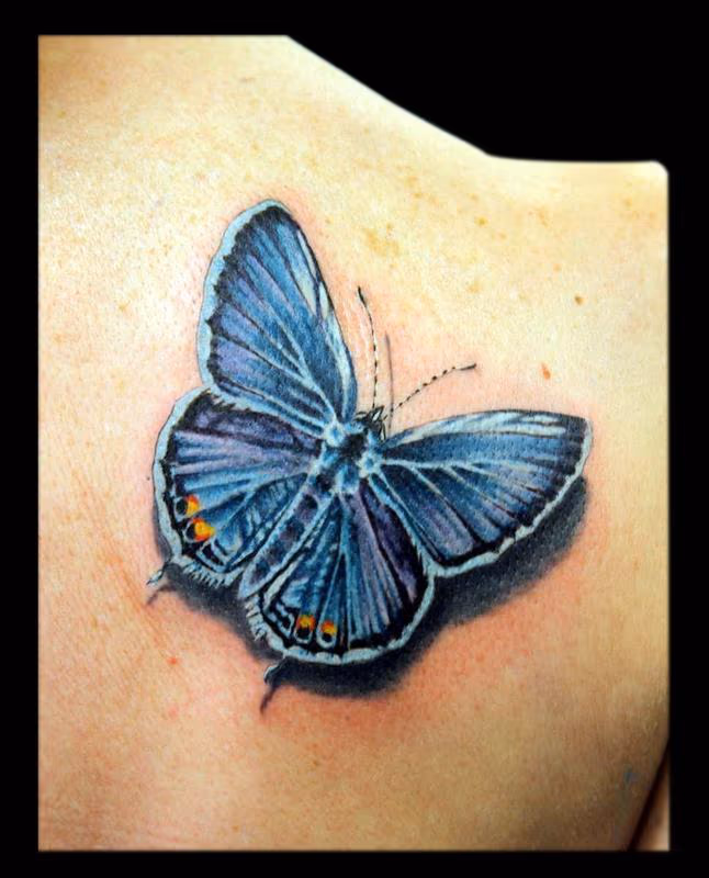 Eastern Tailed Blue Butterfly