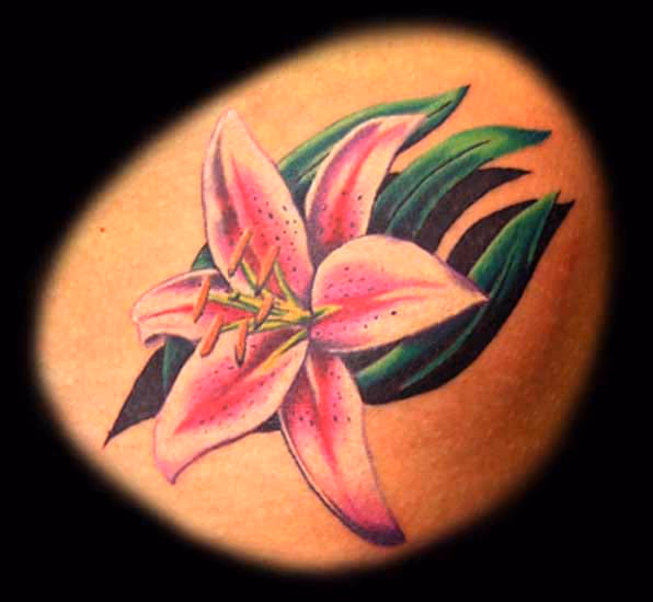 Stargazer