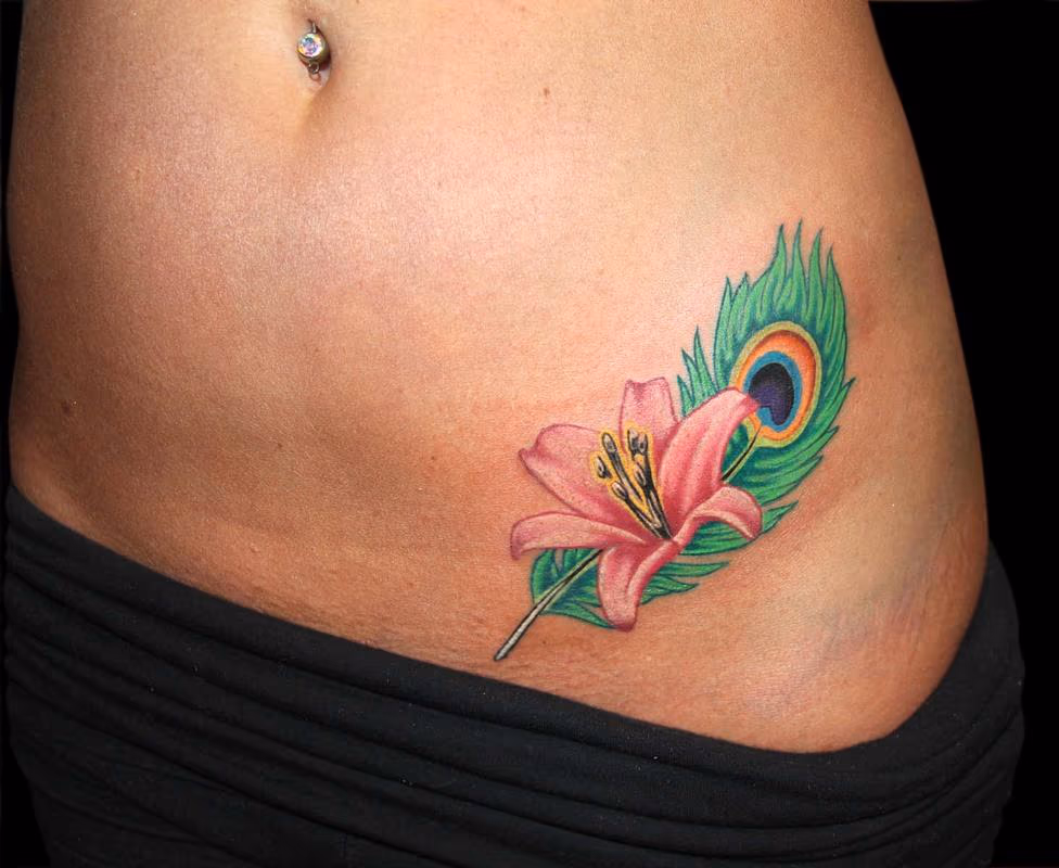 Peacock Feather and Lily