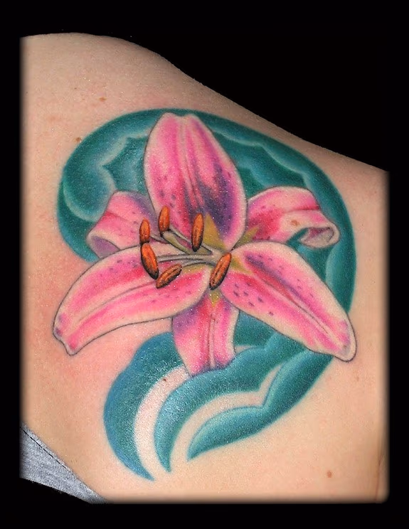 Stargazer