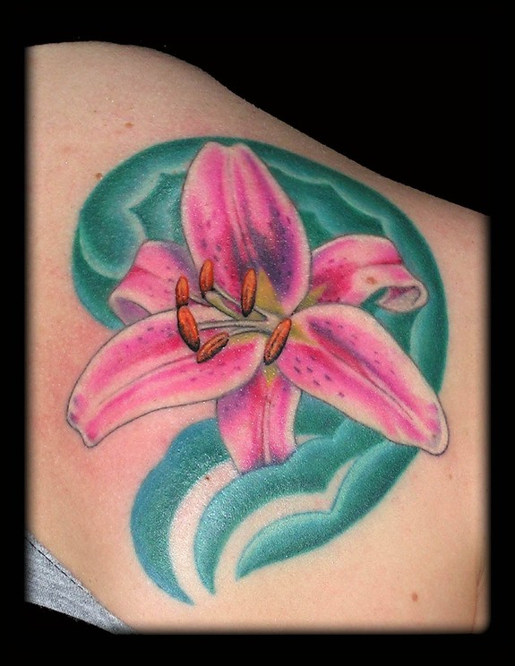 Stargazer