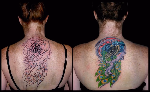 Peacock Covering Peace Sign