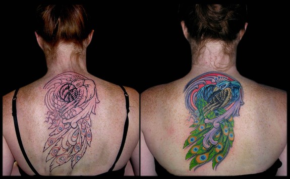 Peacock Covering Peace Sign