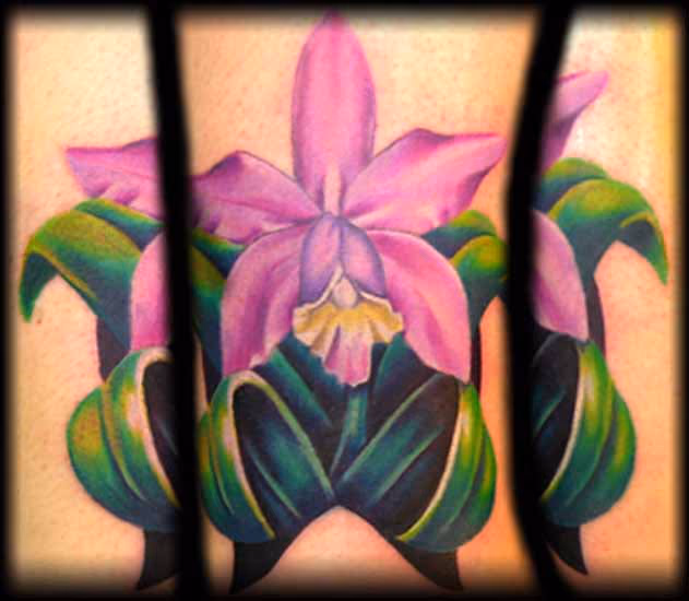 orchid cover up