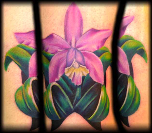 orchid cover up