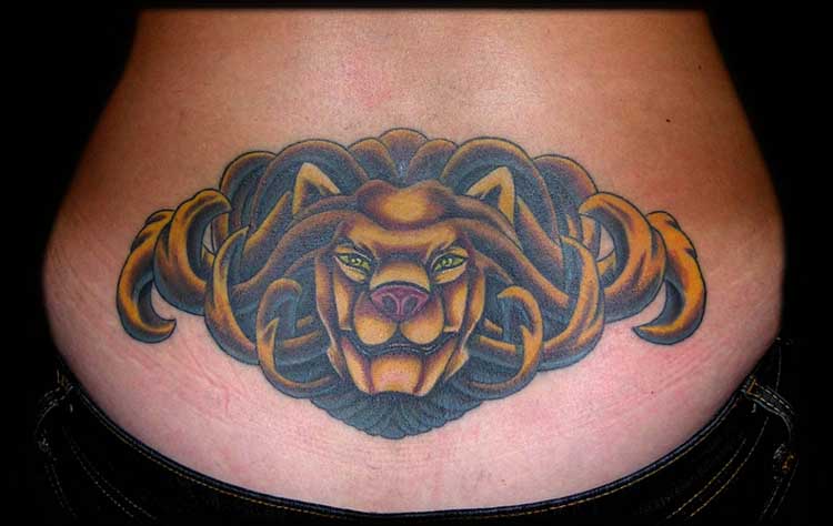 Lion Face