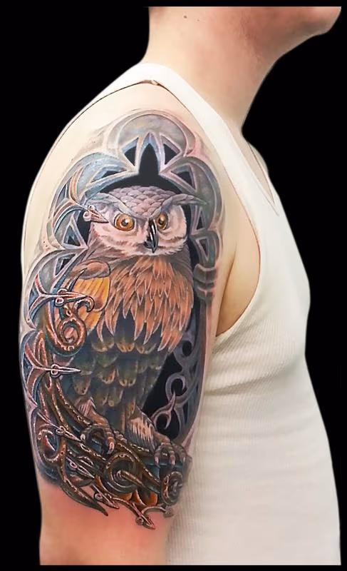 Owl in an Alcove Cover Up