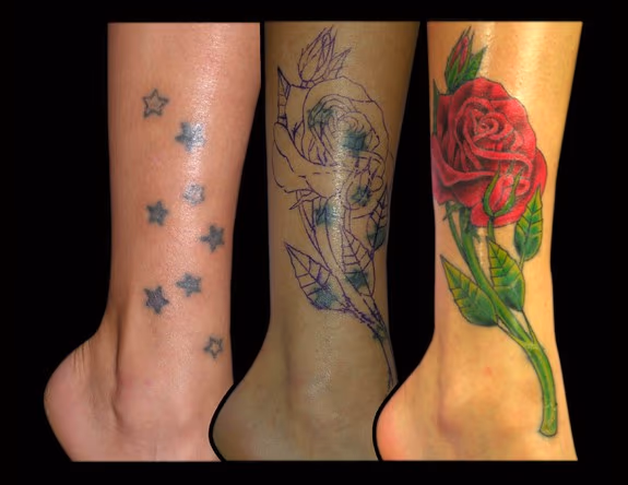 Rose Covering Stars