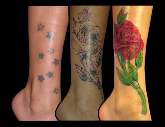 Rose Covering Stars