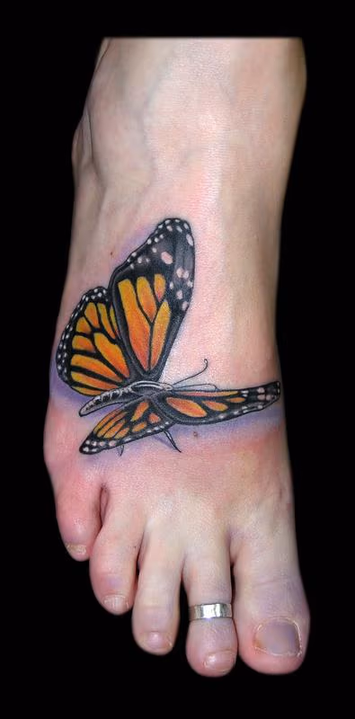 Monarch Butterfly